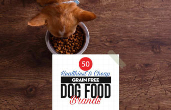 Top 50 Best Grain-Free Dog Food Brands Top 50 Cheap Best Grain Free Dog Food Brands of All Time