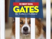 10 Best Dog Gates (Indoor & Outdoor) in 2023 Top Best Dog Gates for Indoors and Outdoors