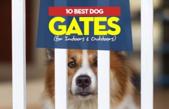 10 Best Dog Gates (Indoor & Outdoor) in 2023 Top Best Dog Gates for Indoors and Outdoors
