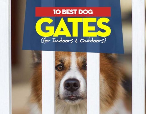 10 Best Dog Gates (Indoor & Outdoor) in 2023 Top Best Dog Gates for Indoors and Outdoors