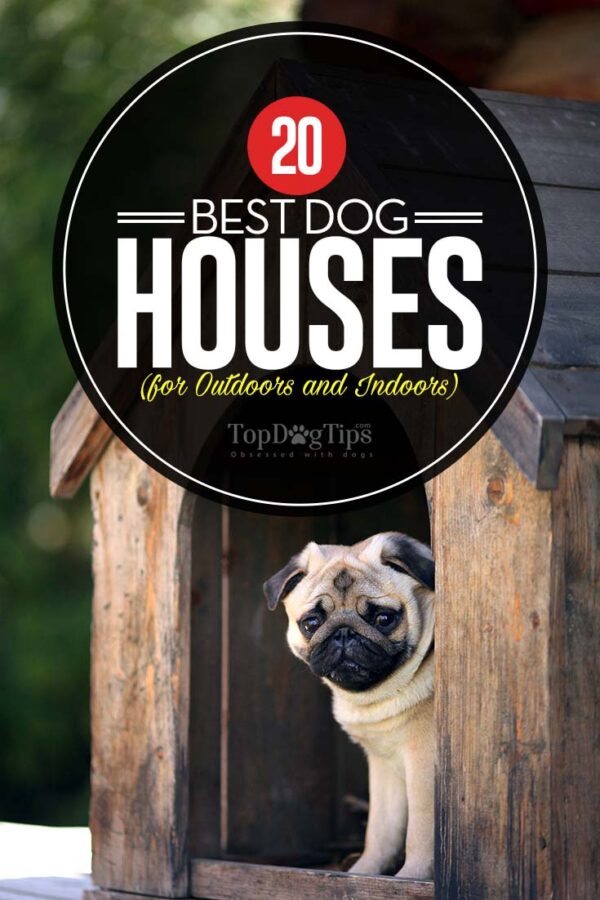20 Best Dog Houses (Outdoors and Indoors)