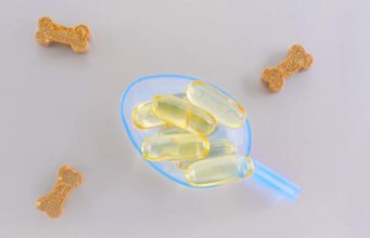 The Best Fish Oil for Dogs Supplements Top Rated Best Fish Oil for Dogs Supplements