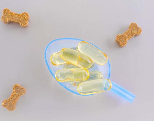 The Best Fish Oil for Dogs Supplements Top Rated Best Fish Oil for Dogs Supplements