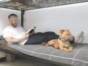 “Project Good Dog” Helps Heal Prisoners and Get Dogs Adopted “Project Good Dog” Helps Heal Prisoners and Get Dogs Adopted