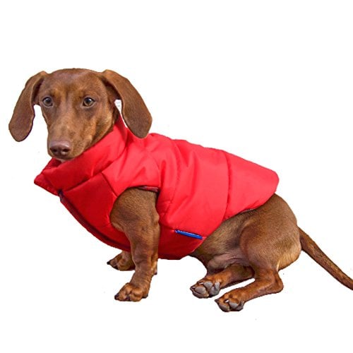 DJANGO Reversible Puffer Dog Coat Review: Is it Worth It? (2018)