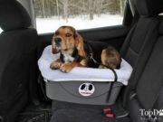 Review: FidoRido Dog Car Seat Fido Rido Dog Car Seat