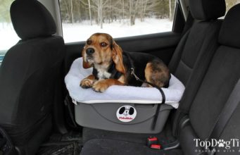 Review: FidoRido Dog Car Seat Fido Rido Dog Car Seat