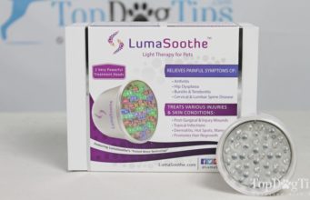 Review: LumaSoothe Light Therapy for Pets LumaSoothe Light Therapy for Pets