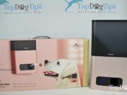 Petcube Review: Petcube Bites Pet Camera Petcube Review