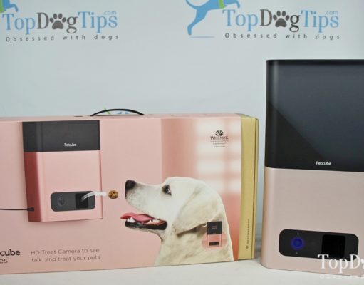 Petcube Review: Petcube Bites Pet Camera Petcube Review