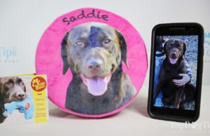 Review: PrideBites Custom Frisbee Toy (2018) PrideBites Custom Frisbee Toy Review