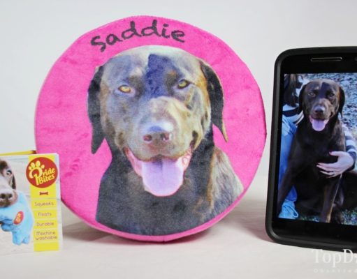 Review: PrideBites Custom Frisbee Toy (2018) PrideBites Custom Frisbee Toy Review