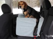 Review: Snoozer Luxury Lookout Dog Car Seat Snoozer Luxury Lookout Dog Car Seat Review
