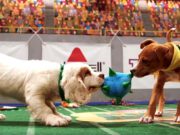 Not Into Football? Watch the Puppy Bowl This Sunday Instead! Watch Puppy Bowl Animal Planet