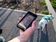 Walking App “Wag” Gets $300 Million Investment from Unlikely Source Walking App “Wag” Gets $300 Million Investment from Unlikely Source