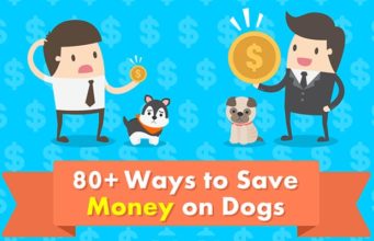 80+ Ways to Save Money on Dog Supplies and Other Expenses 80 Ways to Save Money on Dogs