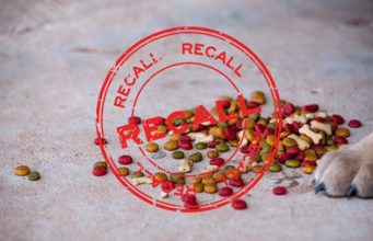 Dog Food Recall: What It Means and What You Must Do Dog Food Recall Alert - What You Need to Do When You See One