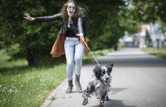8 Evidence-Based Ways to Deal With a Hyperactive Dog Evidence-based Ways to Deal with Hyperactive Dogs featured image