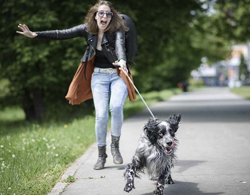 8 Evidence-Based Ways to Deal With a Hyperactive Dog Evidence-based Ways to Deal with Hyperactive Dogs featured image