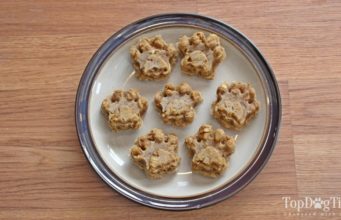 Recipe: Homemade Dog Treats with Baby Food Homemade Dog Treats with Baby Food