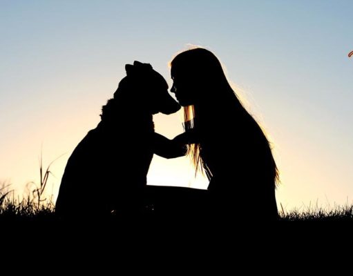 TOP #45: How a Service Dog Saves My Life Everyday How a Service Dog Saves My Life Everyday