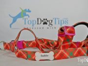 Review: PrideBites Personalized Step-In Dog Harness (2018) PrideBites Personalized Step-In Dog Harness