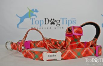 Review: PrideBites Personalized Step-In Dog Harness (2018) PrideBites Personalized Step-In Dog Harness