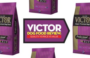 22 Victor Dog Food Recipes Compared Victor Dog Food Reviews