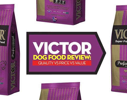 22 Victor Dog Food Recipes Compared Victor Dog Food Reviews