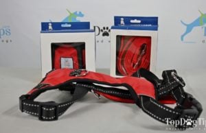 Giveaway: Your Perfect Puppy Dog Harness, Leash and Treat Pouch ($75+ Value) Your Perfect Puppy Giveaway
