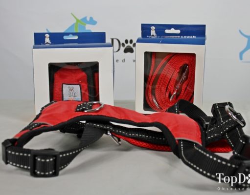 Giveaway: Your Perfect Puppy Dog Harness, Leash and Treat Pouch ($75+ Value) Your Perfect Puppy Giveaway