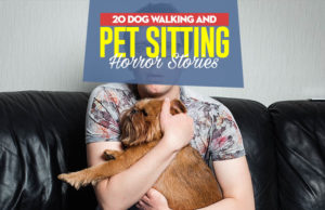 20 Crazy Dog-Sitting Horror Stories 20 Dog Walking and Sitting Horror Stories