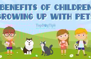 25 Benefits of Kids Growing Up with Pets 25 Benefits of Kids Growing Up with Pets