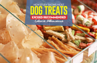New Study Shows Most Dog Treats Exceed Recommended Calorie Allowance A Study Shows Most Dog Treats Exceed Recommended Calorie Allowance