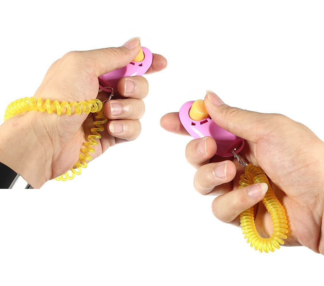 Top 5 Best Dog Clicker for Training Dogs Yourself (2018)
