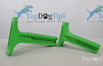 Review: Brite Bite Brushing Stick for Dogs Brite Bite Brushing Stick for Dogs