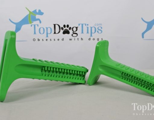 Review: Brite Bite Brushing Stick for Dogs Brite Bite Brushing Stick for Dogs