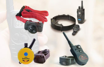 Dog Shock Collar Comparison: Dogtra vs SportDog vs Petsafe vs Educator Dog Shock Collar Compared featured image