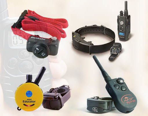 Dog Shock Collar Comparison: Dogtra vs SportDog vs Petsafe vs Educator Dog Shock Collar Compared featured image