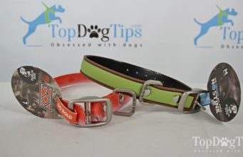 Review: Dublin Dog No Stink Dog Collar Dublin Dog No Stink Dog Collar
