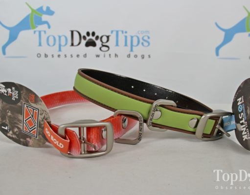 Review: Dublin Dog No Stink Dog Collar Dublin Dog No Stink Dog Collar