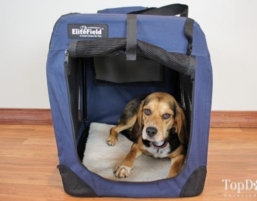 Review: EliteField Soft Dog Crate 3-Door Model EliteField Soft Dog Crate
