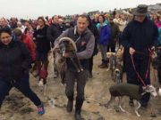 8 Stories of People Doing Extraordinary Things for Dogs Extraordinary dog rescue stories