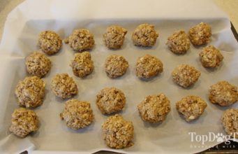 Recipe: Homemade Dog Food for Pregnant Dogs Homemade Dog Food for Pregnant Dogs