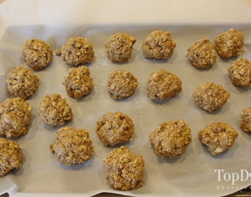 Recipe: Homemade Dog Food for Pregnant Dogs Homemade Dog Food for Pregnant Dogs