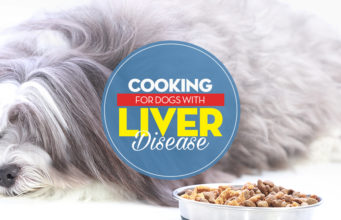 How to Feed Dogs With Liver Disease How to Feed Dogs With Liver Disease