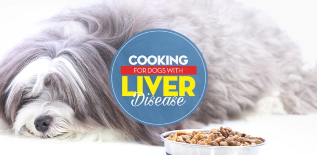 How to Feed Dogs With Liver Disease Top Dog Tips