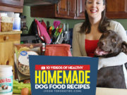 10 Popular Homemade Dog Food Recipe Videos Most Popular Homemade Dog Food Recipe Videos