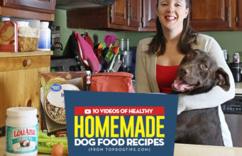10 Popular Homemade Dog Food Recipe Videos Most Popular Homemade Dog Food Recipe Videos