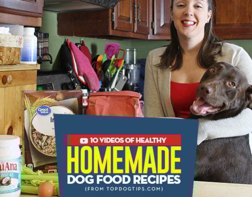 10 Popular Homemade Dog Food Recipe Videos Most Popular Homemade Dog Food Recipe Videos